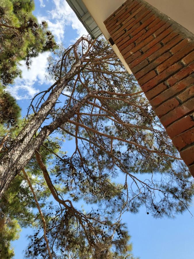 Villa Theplatres.Nest Esterno foto